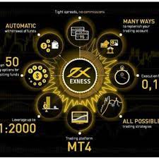 Профессия копирайтера Exness: возможность успешно торговать